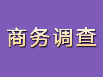 韶关商务调查